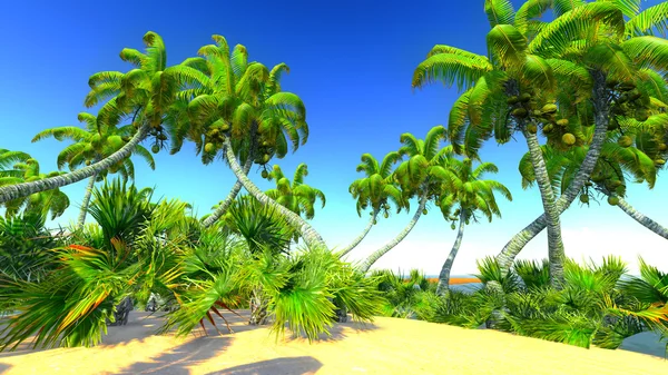 Hawaiian cennet — Stok fotoğraf