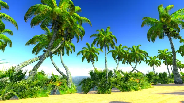 Hawaiian paradise — Stock Photo, Image