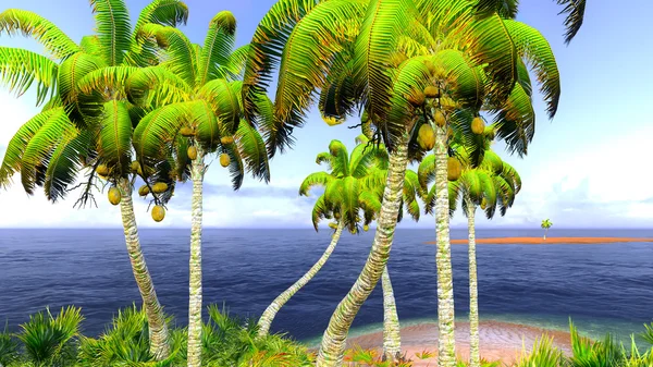 Hawaiian paradise — Stock Photo, Image