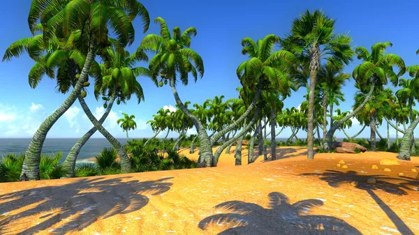 Гавайська рай — стокове фото