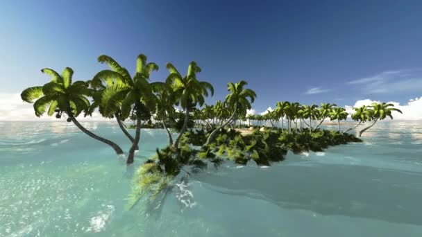 Tempesta tropicale sull'isola — Video Stock