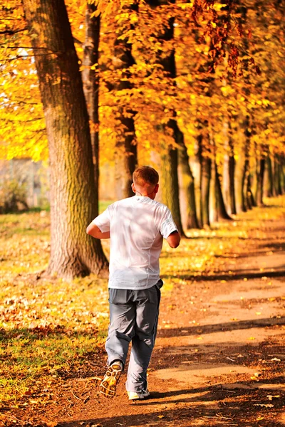 Mannelijke jogger in het park — Stockfoto