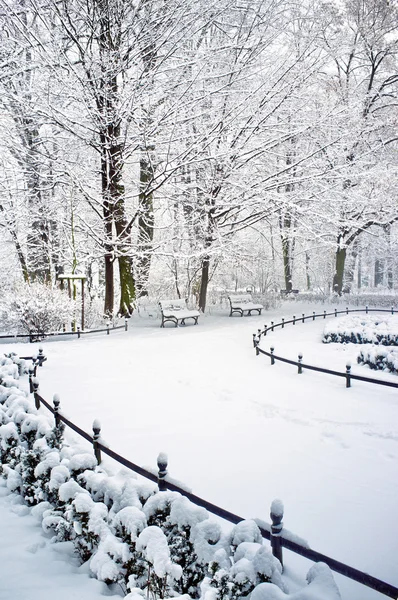 Park in de winter — Stockfoto