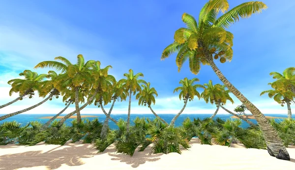 Playa del paraíso tropical — Foto de Stock