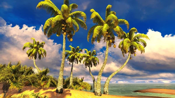 热带天堂海滩 — 图库照片