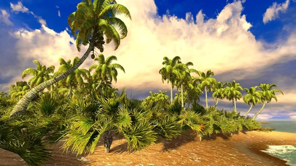 Praia do paraíso tropical — Fotografia de Stock