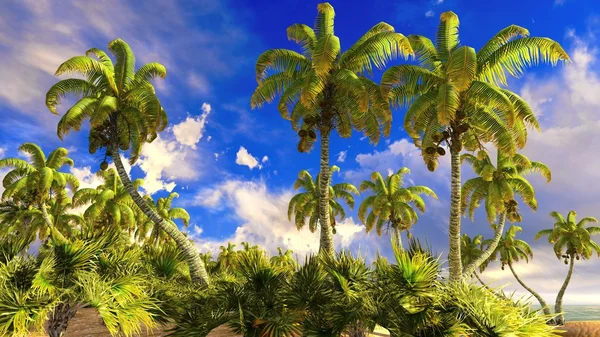 Tropisch paradijs strand — Stockfoto