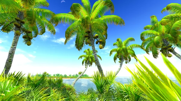 Plage paradis tropical — Photo