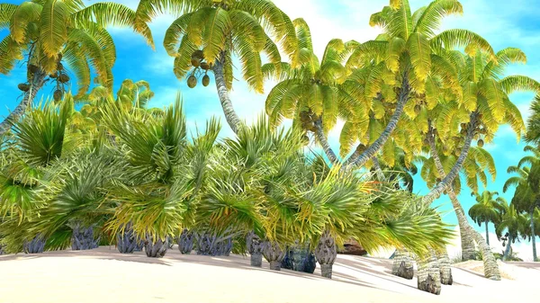 Playa del paraíso tropical — Foto de Stock
