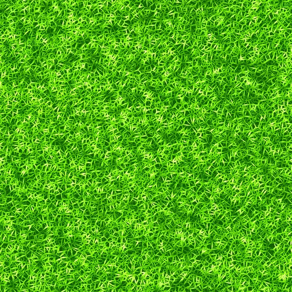 Grassy background — Stock Photo, Image