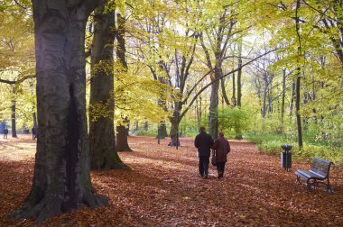 Parktaki yaşlı çift.
