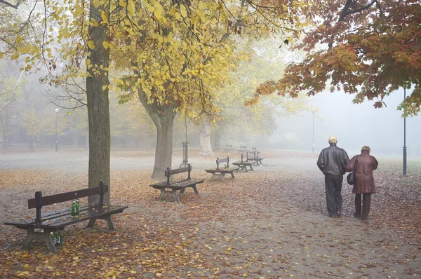 Couple aîné dans le parc — Photo