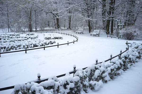 Winter park — Stockfoto