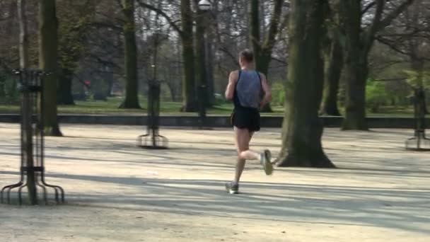 Mannelijke jogger — Stockvideo