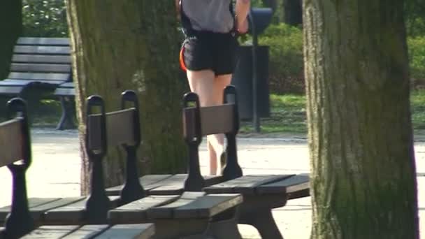 Male jogger in the park — Stock Video