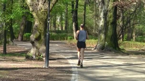 Männlicher Läufer im Park — Stockvideo