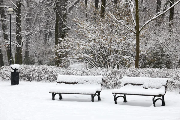 Parque de Inverno — Fotografia de Stock