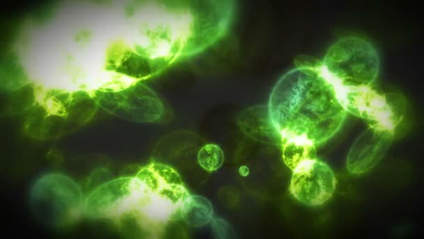 Ilustración 3d de bacterias coloridas — Vídeo de stock