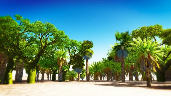 Oasis en Marruecos —  Fotos de Stock