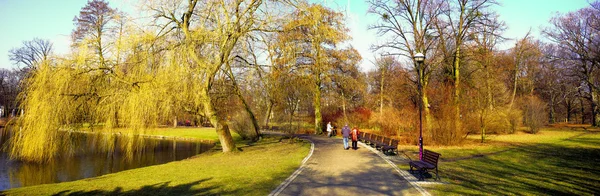 Senior par i parken — Stockfoto