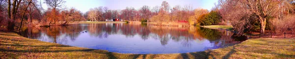 Park in de lentetijd — Stockfoto