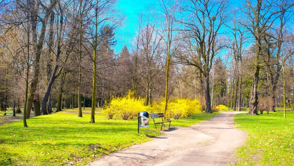 Park in de lentetijd - panoramisch uitzicht — Stockfoto