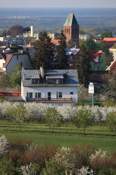 Bergsby i våren — Stockfoto