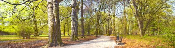 Park v jarním období — Stock fotografie