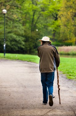 Dağlık orman veya park bekçisi