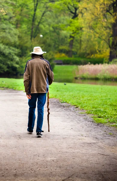 Uppfödaren av en bergig skog eller park — Stockfoto