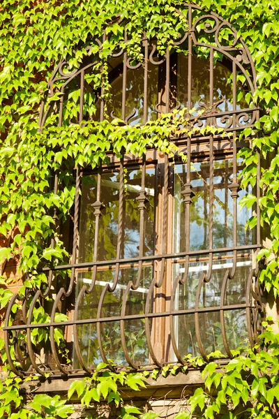 Barred window — Stock Photo, Image