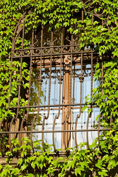 Barred window — Stock Photo, Image