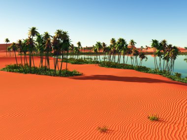 Afrika oasis