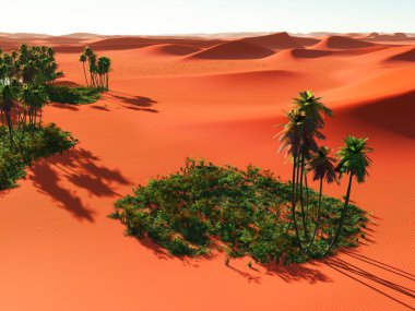 Afrika oasis