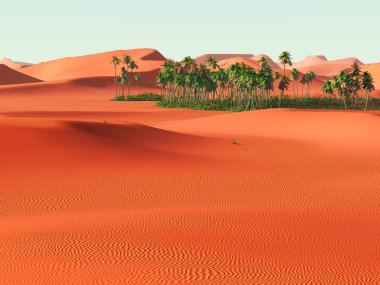 Afrika oasis