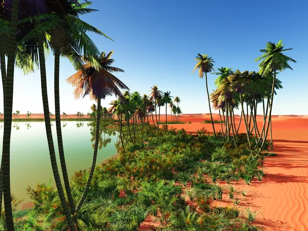 Oasis africano — Foto de Stock