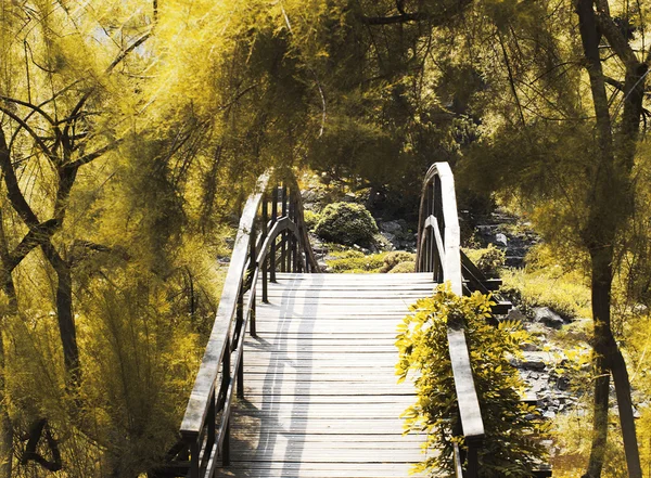 Ponte japonesa — Fotografia de Stock