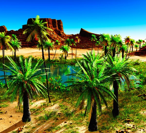 African oasis — Stock Photo, Image