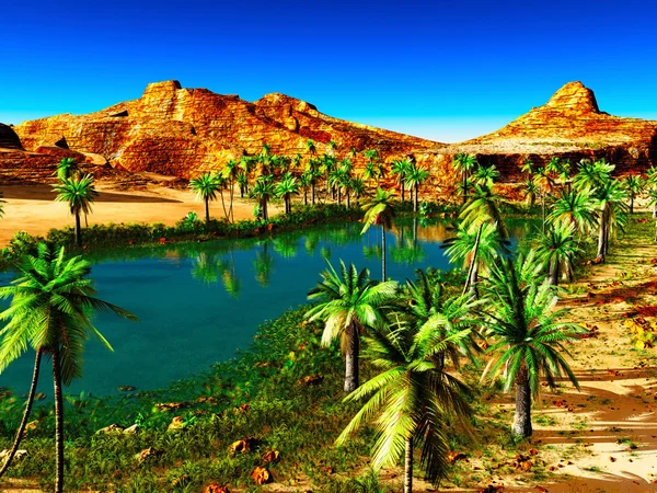 African oasis — Stock Photo, Image
