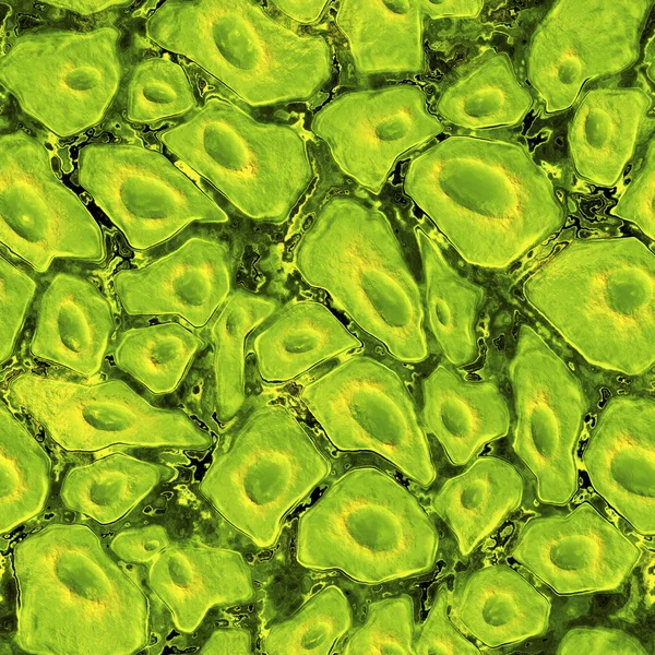 Бактерии фоновый рендер — стоковое фото