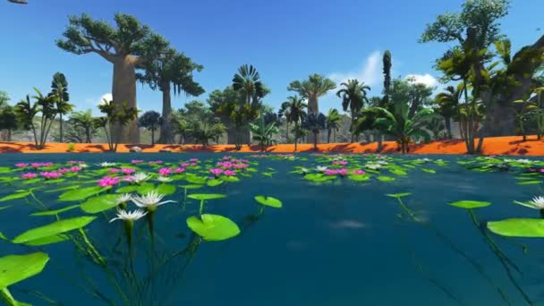 Sabana africana con vegetación exuberante y vibrante junto a la piscina — Vídeos de Stock