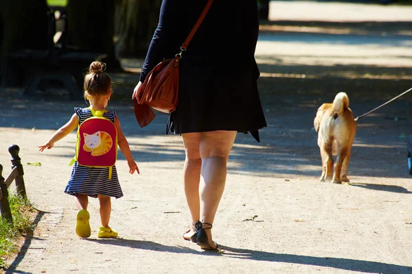 Problema de obesidad — Foto de Stock