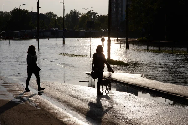 Rua inundada — Fotografia de Stock