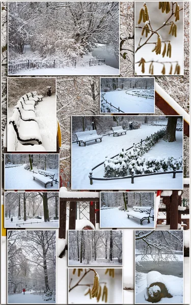 Parque em tempo de inverno — Fotografia de Stock