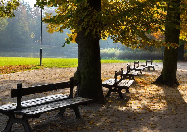 Sonbahar zaman parkta — Stok fotoğraf