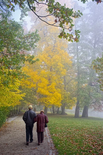 Senior couple in park — Stock Photo, Image