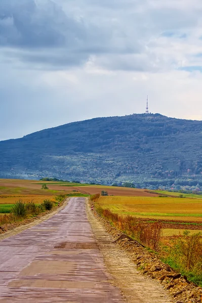 Сільська декорація — стокове фото