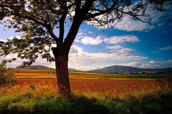 Typische polnische Landschaft — Stockfoto