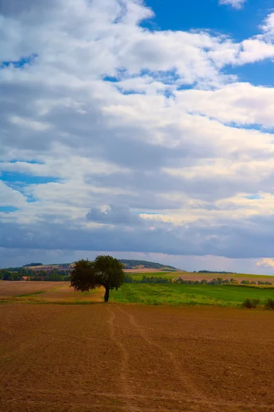 Typical Polish landscape — Stock Photo, Image