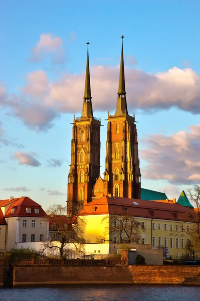 Wroclaw, 폴란드에 있는 고딕 양식의 대성당 — 스톡 사진